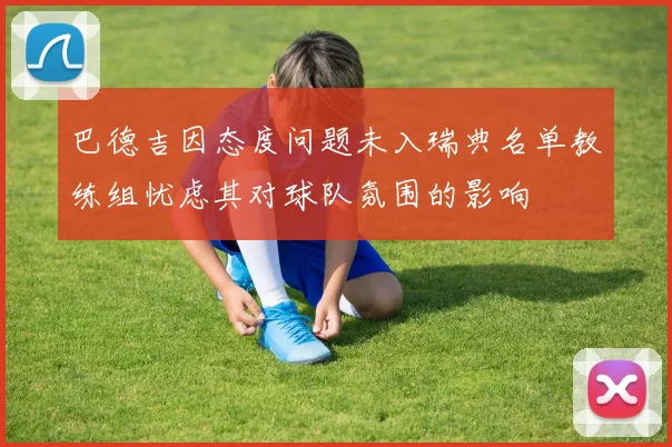 巴德吉因态度问题未入瑞典名单教练组忧虑其对球队氛围的影响
